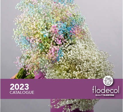 2023 Catalogue